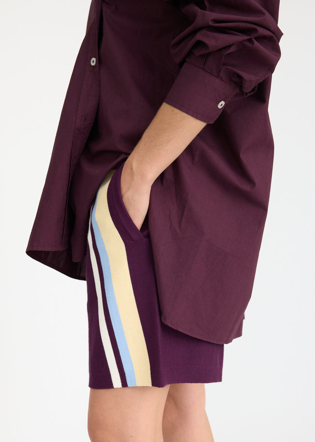 WR Knit Shorts + Placement Stripe - Cherry + Limoncello/Sky/White stripe